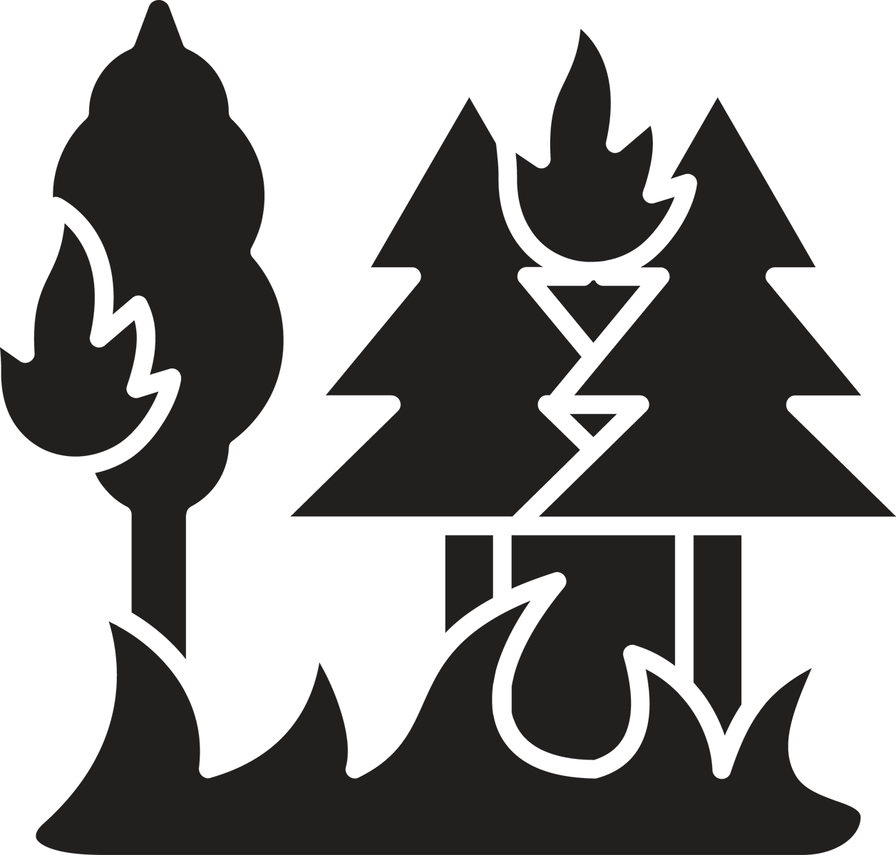 Icon-Strengthening-disaster-risk